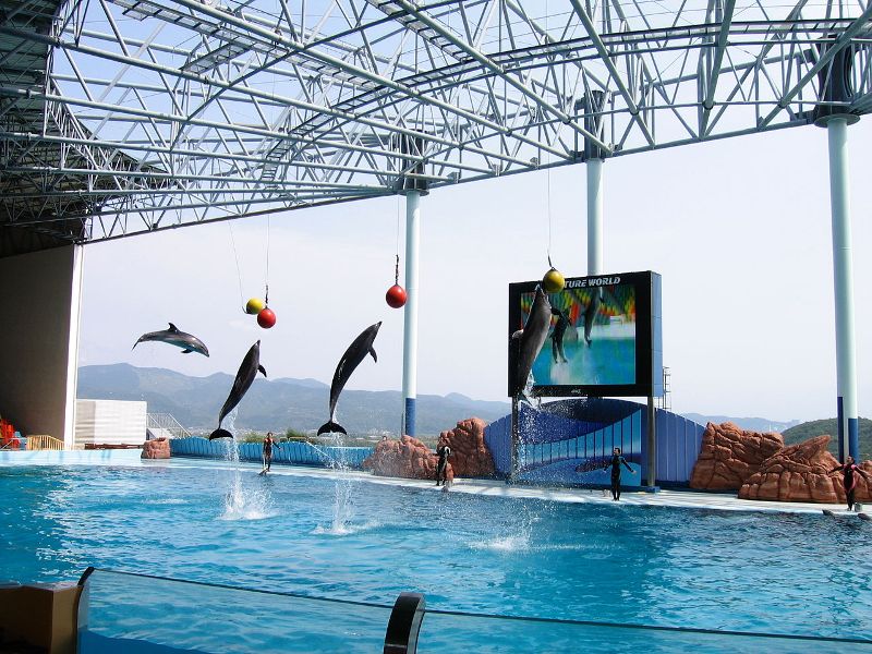 Adventure World, Wakayama, Japan