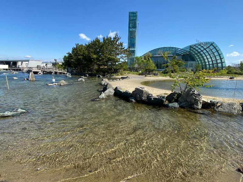 Aquamarine Fukushima