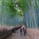 Perfect Japan Travel Itineraries 2025