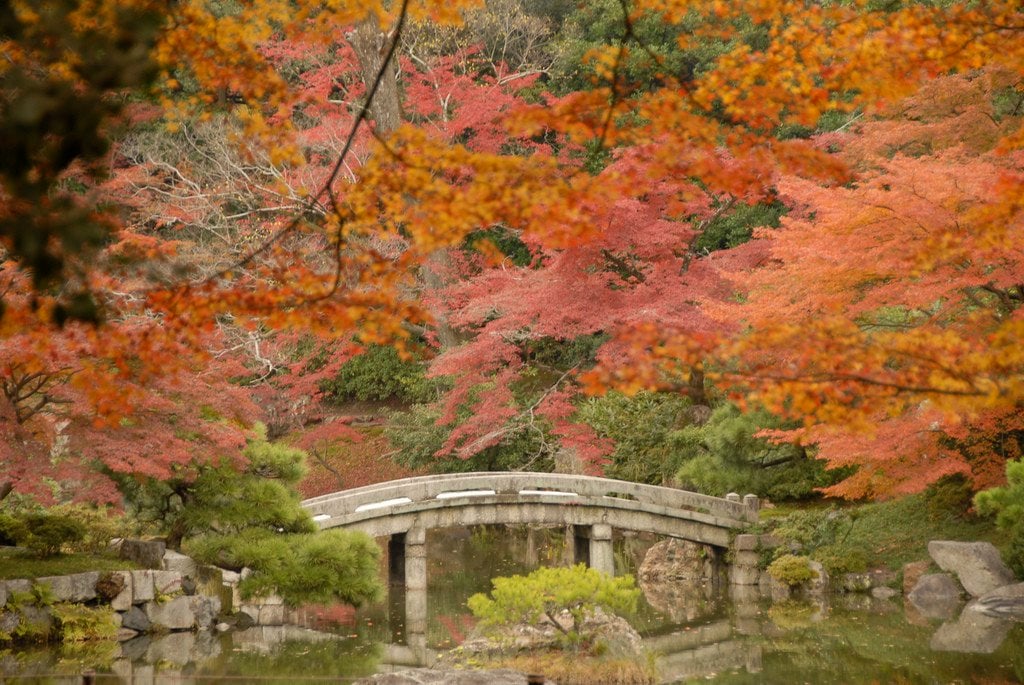 Sento Gosho Palace Garden Autumn Foliage, Kyoto
