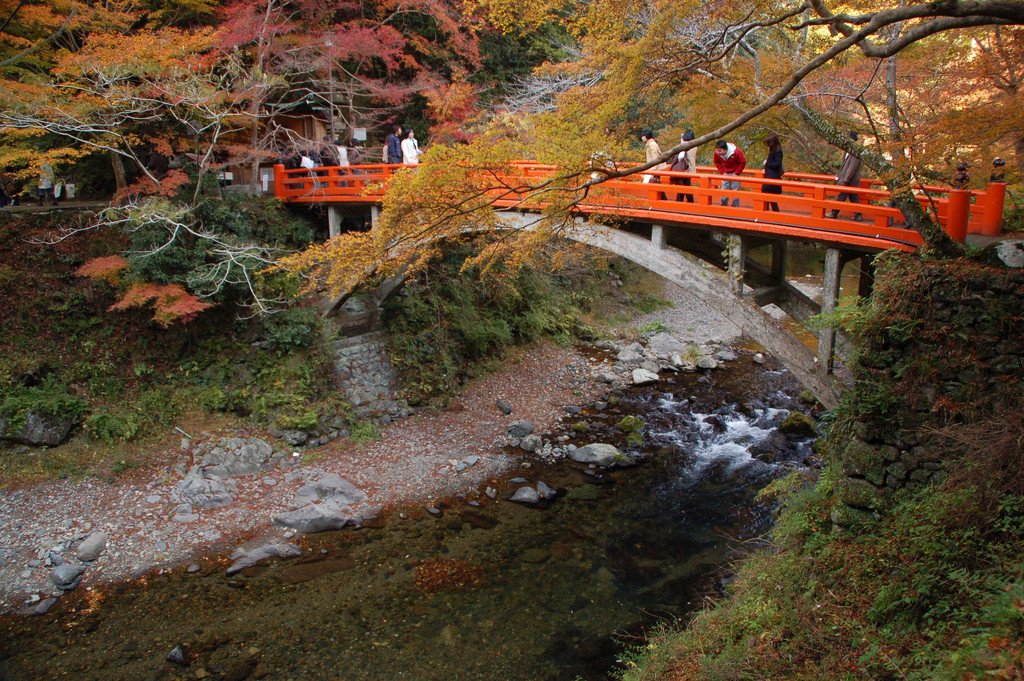 Autumn_Colors_Traditional_Style_Japanese_Bridge_in_Kyoto