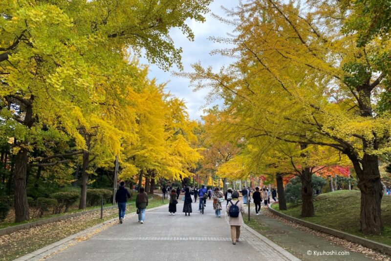 Autumn foliage in Sapporo, Japan