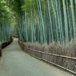 Japan Travel Information