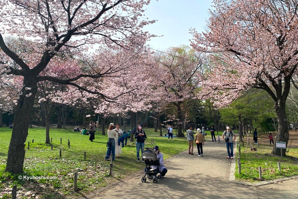 Maruyama Park in Sapporo