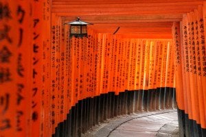 fushimi_inari-taisha_kyoto