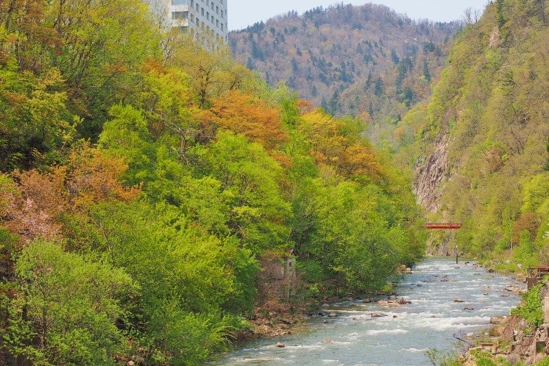 Toyohira River and Futami Tsuribashi Suspension Bridge in spring