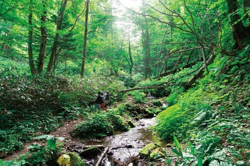 Hiking trails in Jozankei