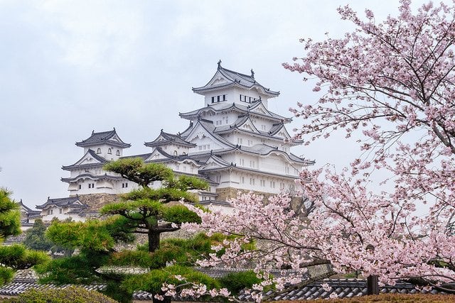 Himeji Castle and Cherry Blossoms in Spring