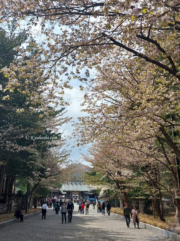 This path leads to Hokkaido Shrine, Sapporo