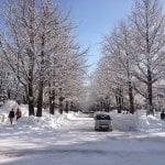 Sapporo in Winter, Hokkaido