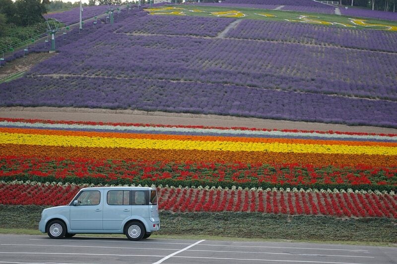 Hokuseiyama Lavender Field, Furano