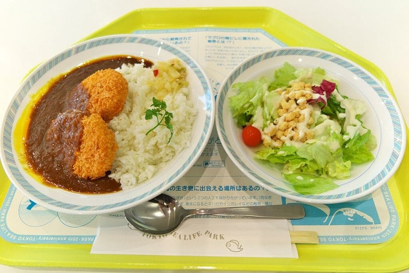 Japanese curry in Tokyo