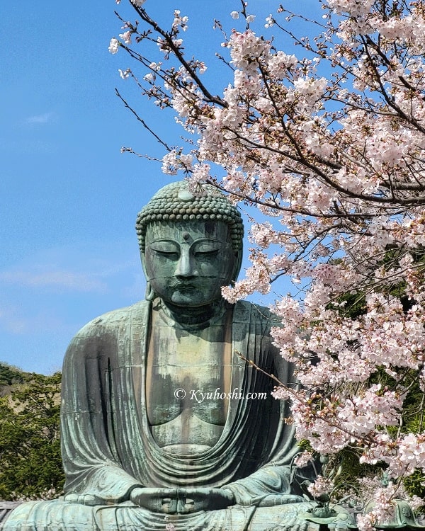 Kamakura Daibutsu in Spring, Japan