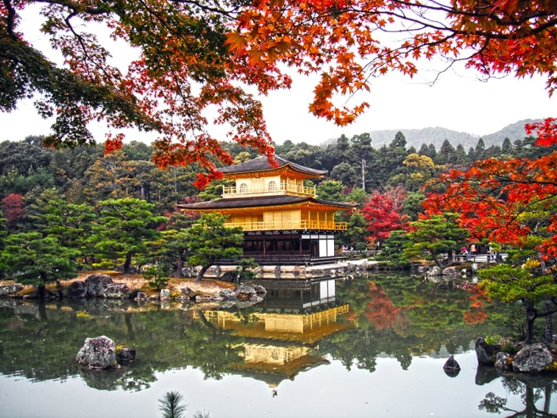 Kinkakuji Temple in Autumn, Kyoto