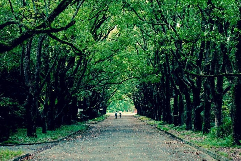 Kyoto Botanical Garden, Japan
