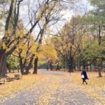 Sapporo Autumn Itinerary
