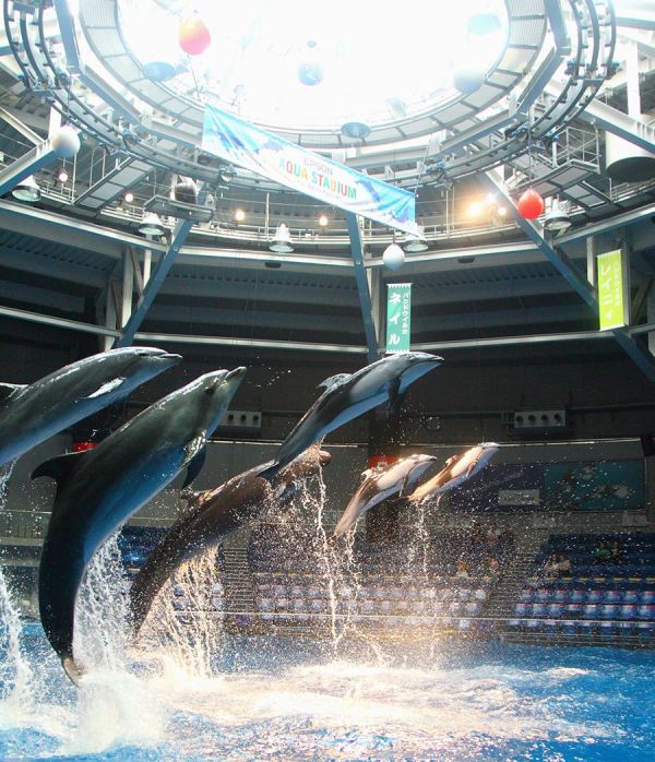 Maxwell Aqua Park Shinagawa, Tokyo