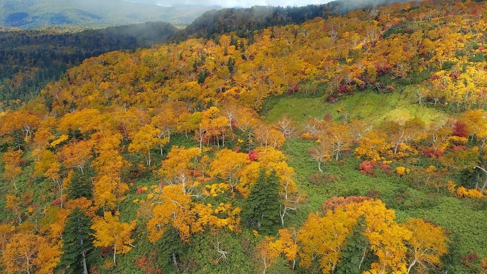 Mount Asahidake Autumn Foliage