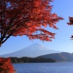 25 UNESCO World Heritage Sites in Japan