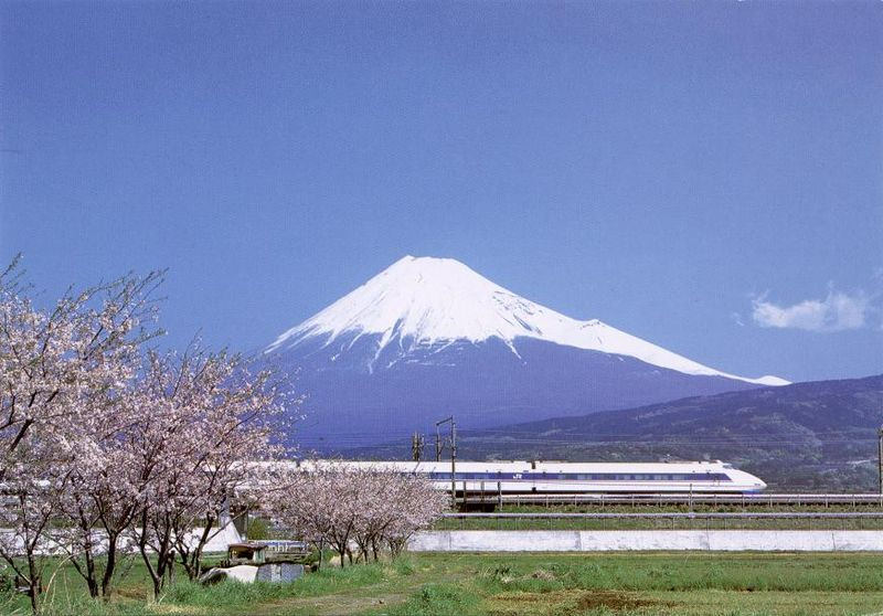 mount_fuji_cherry_blossoms