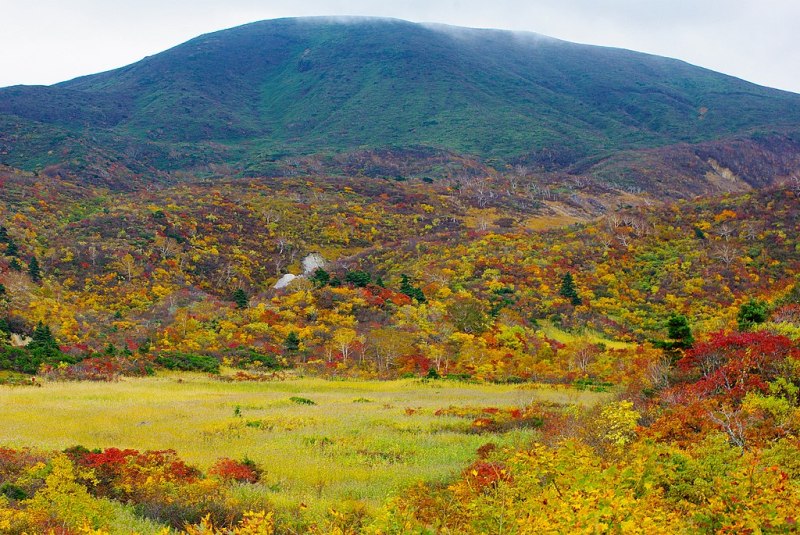 Autumn Foliage at Mount Kurikuma, Miyagi