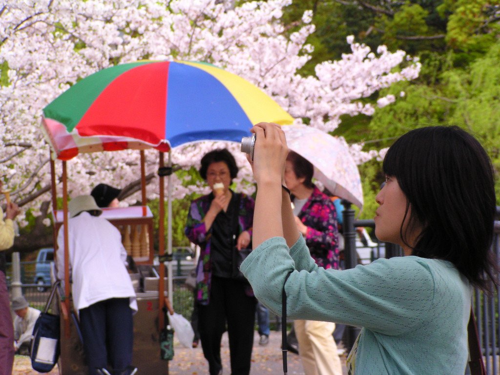 photographer_at_hanami