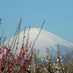 Japan's Public Holidays Calendar 2025-2026
