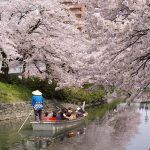 Japan Tour Packages 2025-2026