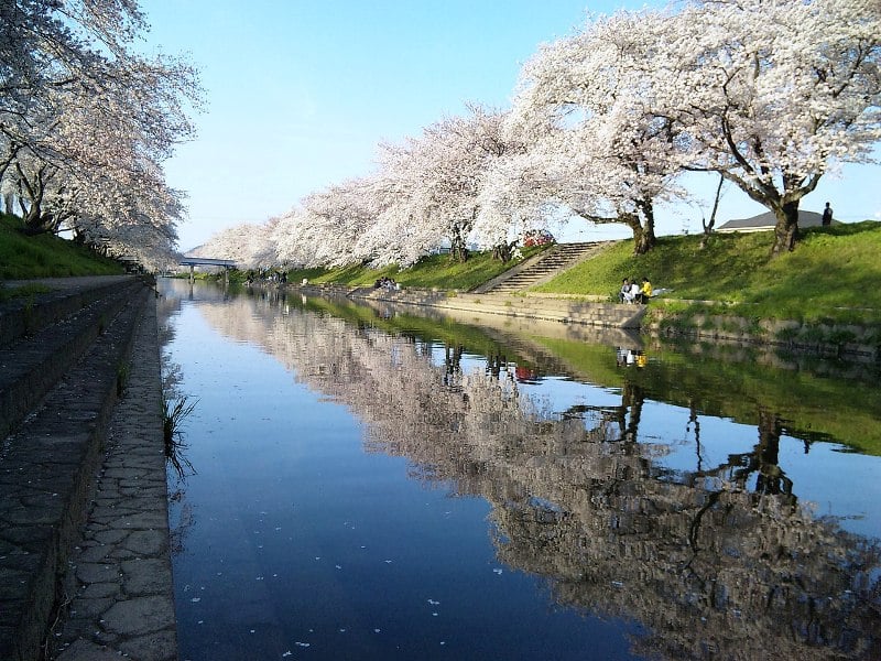 Shinsakai River in spring, Gifu
