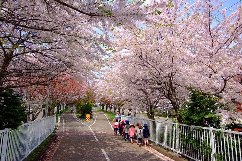 Shiroishi Cycling Road in Spring, Sapporo