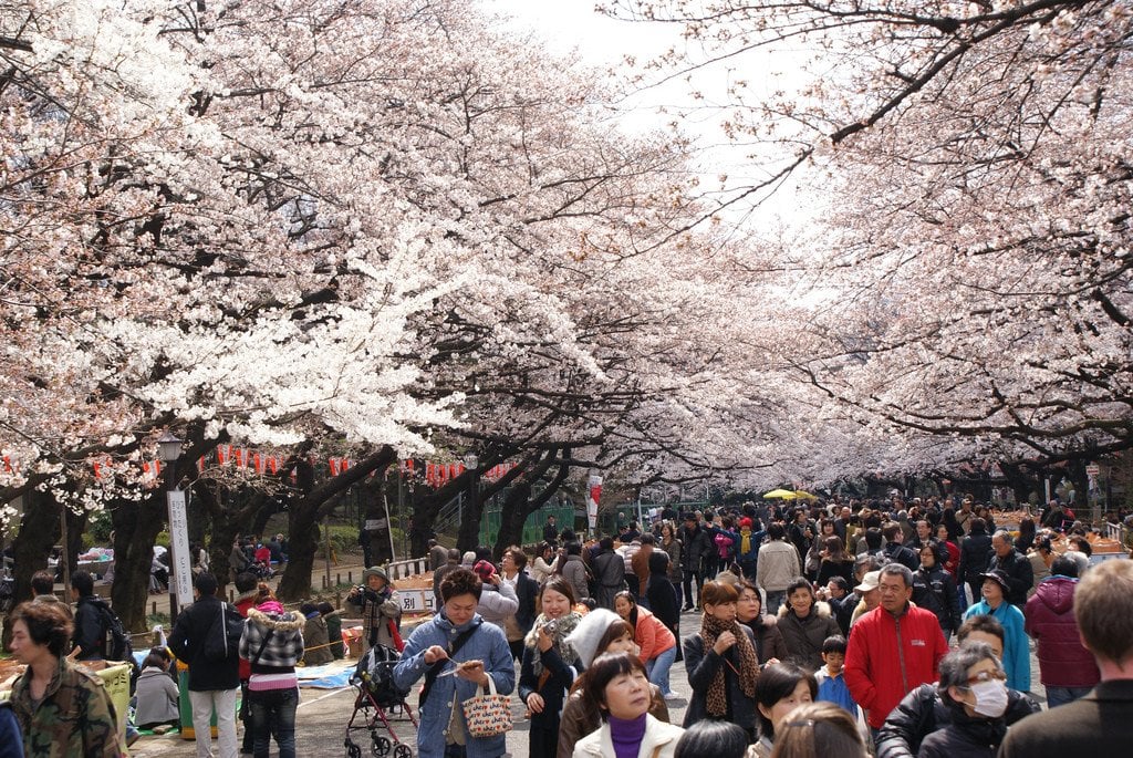 ueno_park_hanami_toyko