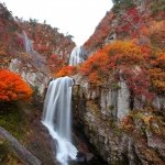 Autumn Foliage in Akita