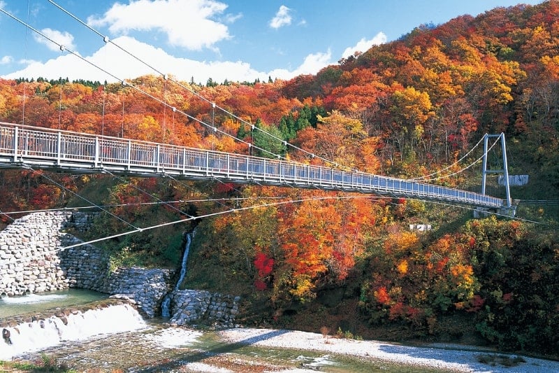 Yokogawa Gorge (Yamabiko Suspension Bridge) in Autumn. Public Interest Incorporated Association Miyagi Prefecture Tourism Federation.