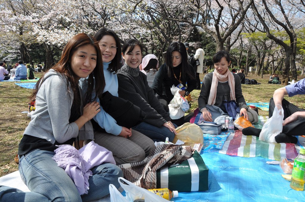 yoyogi_park_hanami